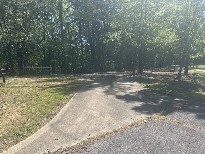 Site 8