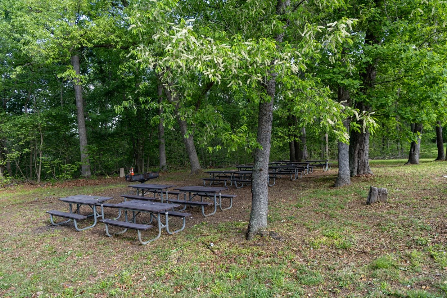 Area D2