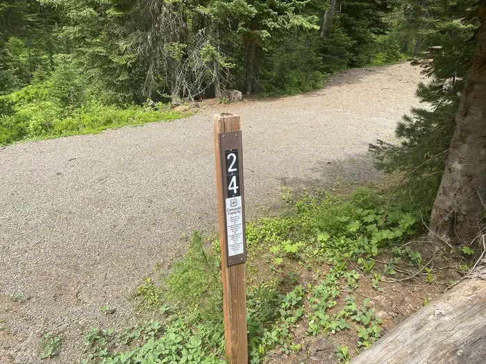 24