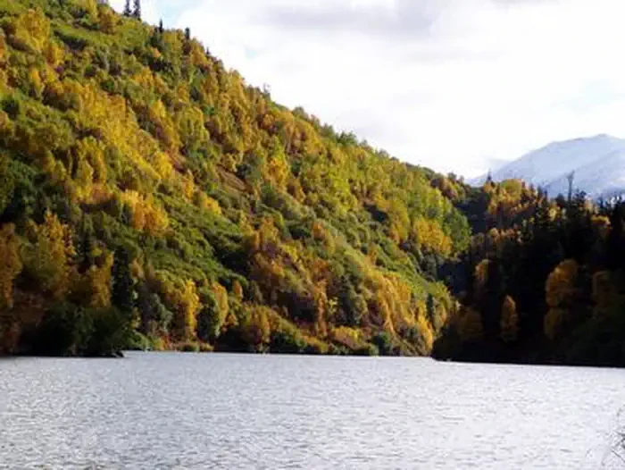 West Swan Lake Cabin
