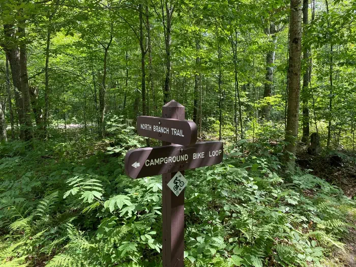 Moosalamoo Campground