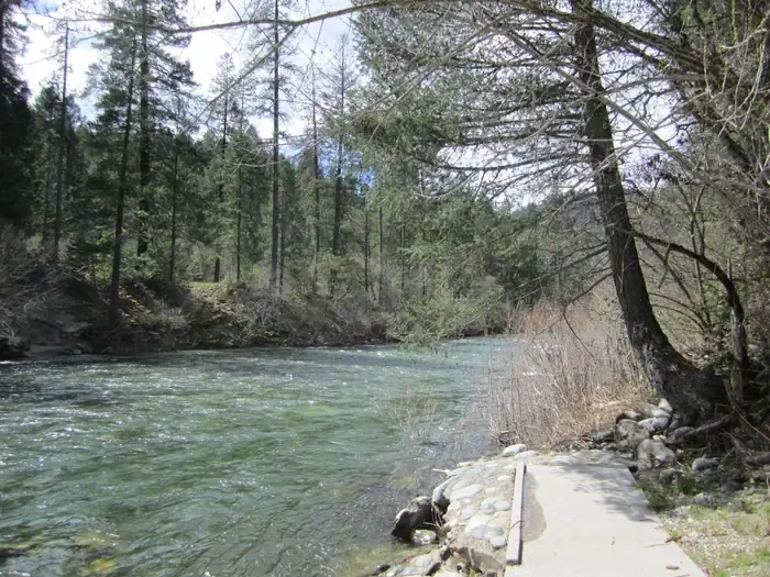 Fiddle Creek
