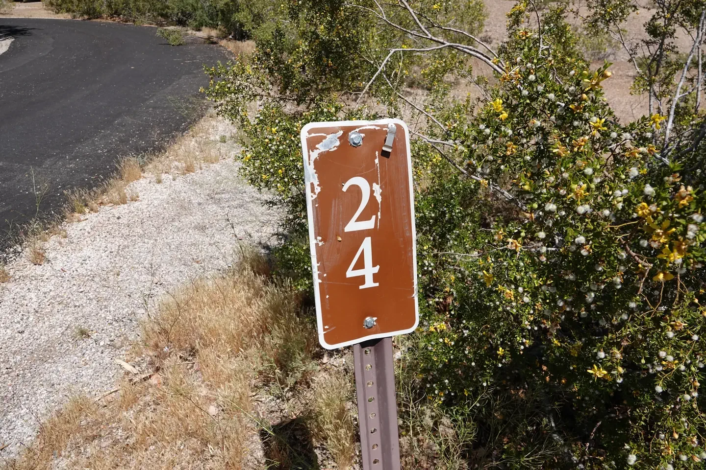 Site 24