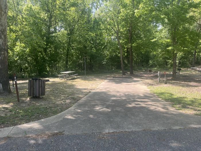 Site 44