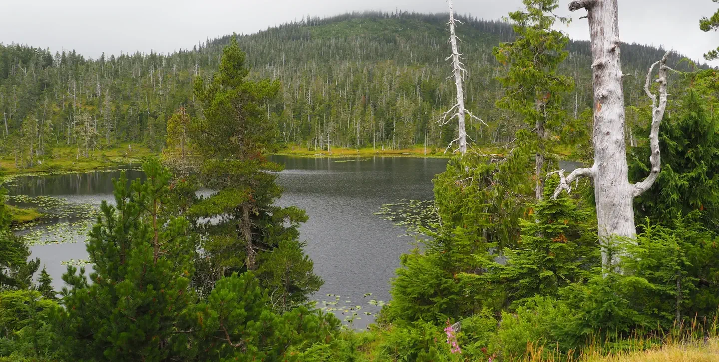 Middle Ridge Cabin