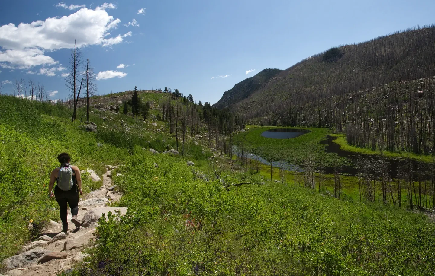 Rocky Mountain National Park