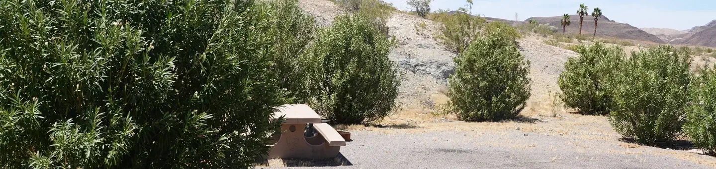 Site 7