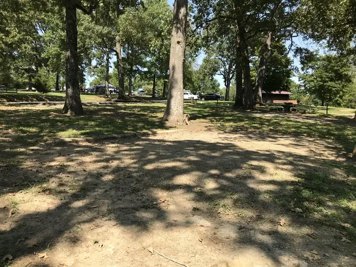 65
