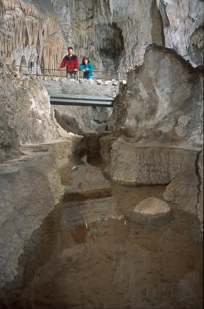 Self-Guided Tour
