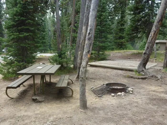 Lewis Lake site #51