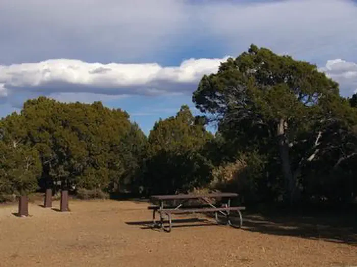 Ward Mtn. Campground (murray Summit)
