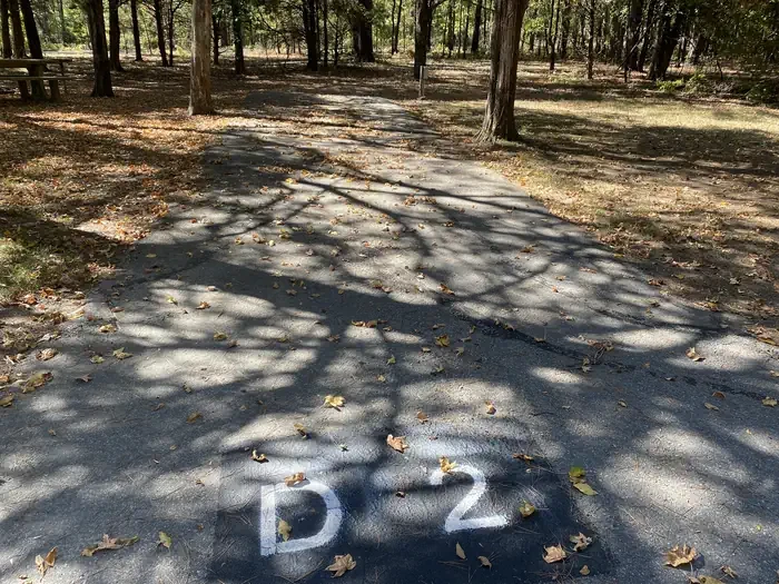 D02