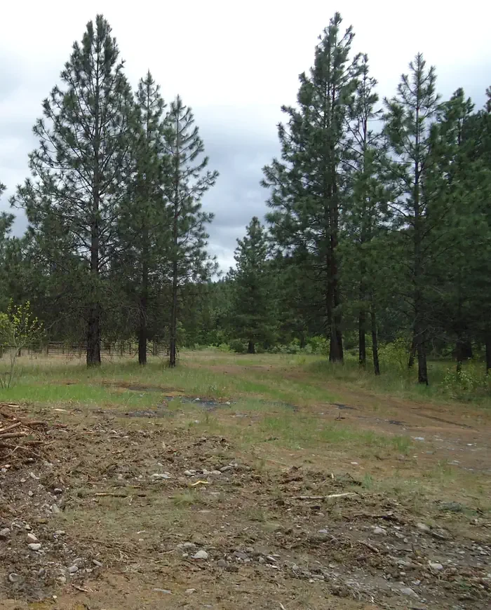 Sloway Campground (MT)