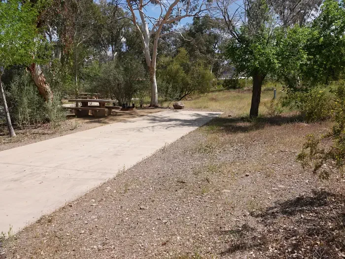 Site 62