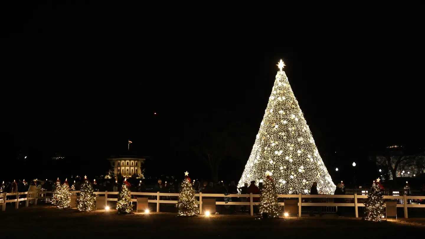The National Christmas Tree Lighting Opening Ceremony