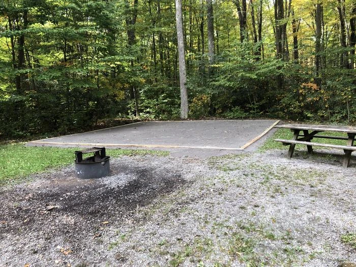 Tea Creek Campground