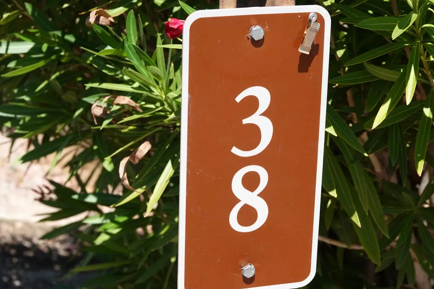 Site 38