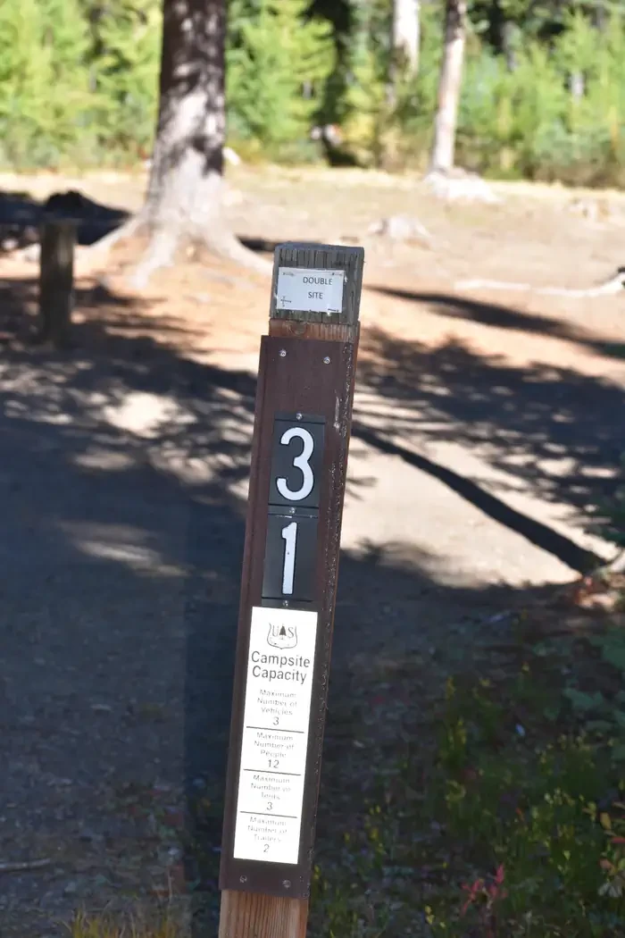31