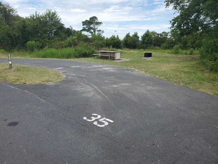 B35