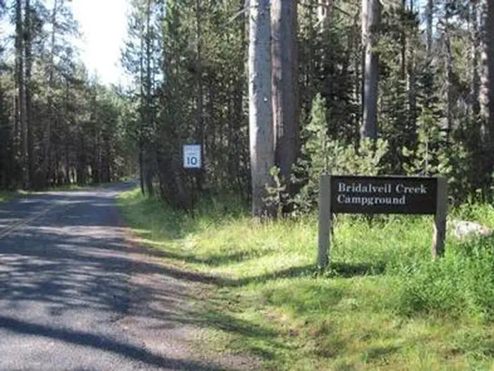 Bridalveil Creek Campground