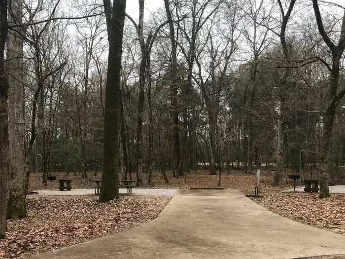 050