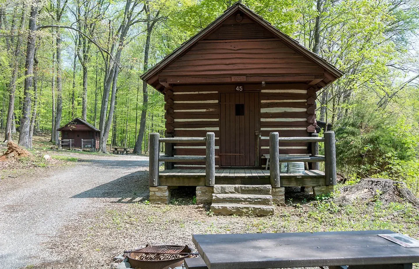 Cabin 45
