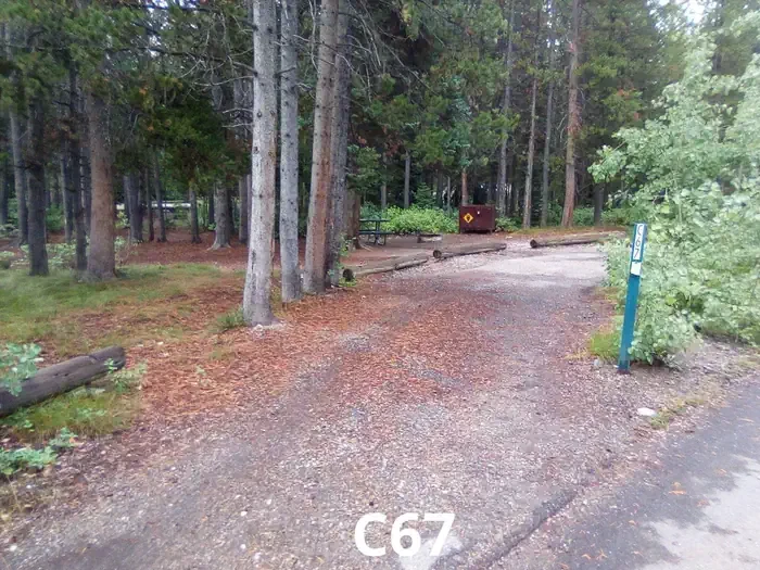67