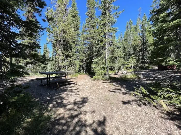 Lewis Lake site #83
