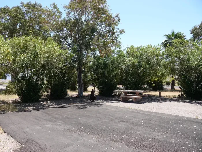 Site 37