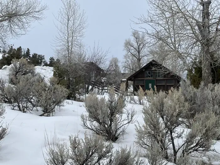 Mammoth Campground (Yellowstone)