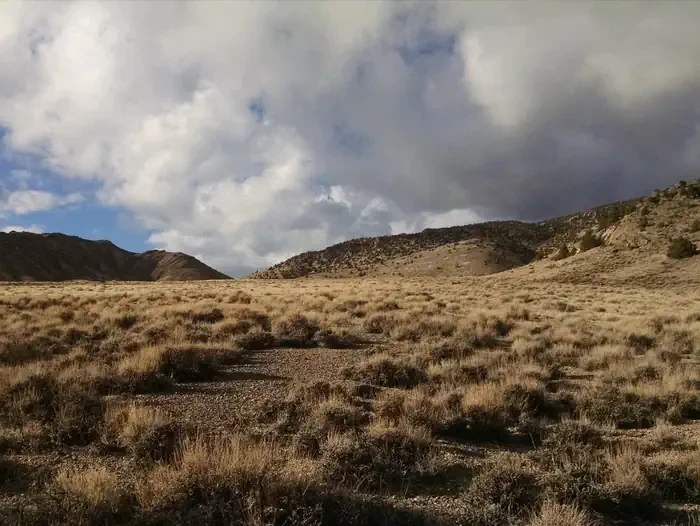 Wheeler Peak Campground