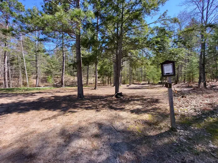 Mowe Lake Campsites