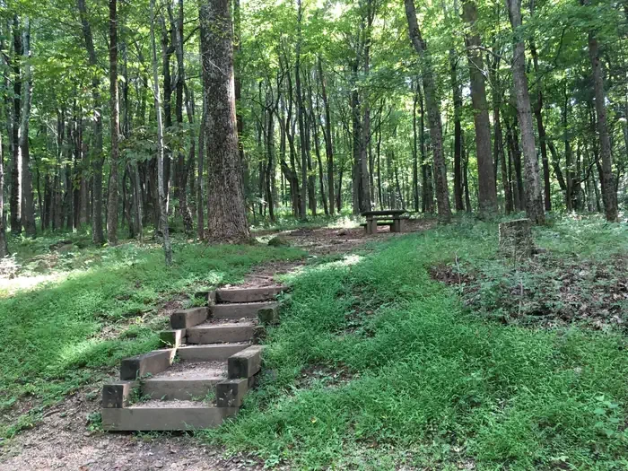 A36