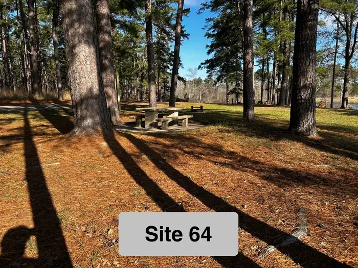 64