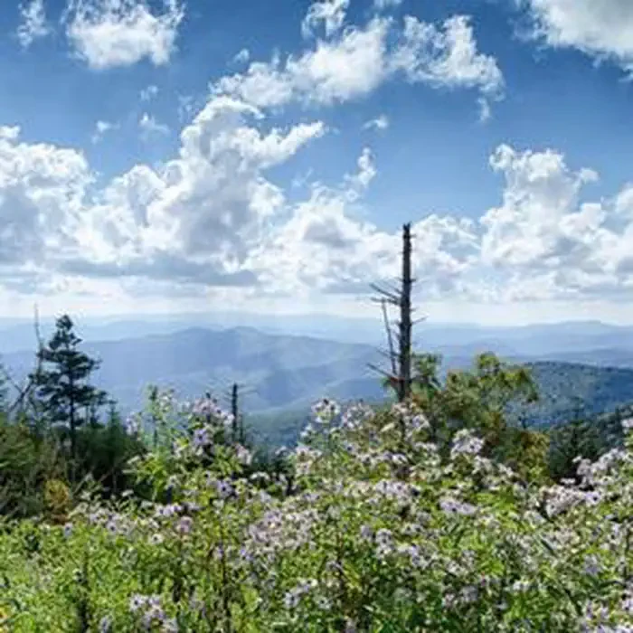Clingmans Dome Solar Eclipse Event August 21 2017