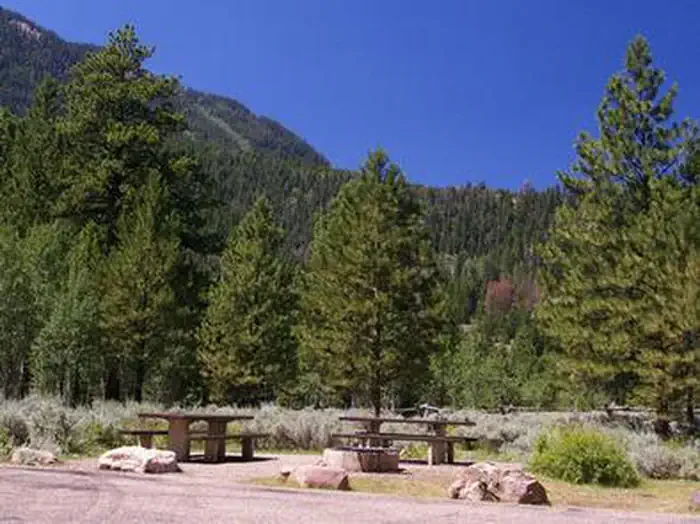 Yellowpine