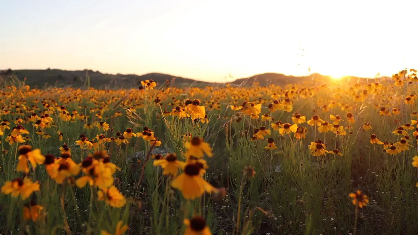Wichita Mountains Wildlife Refuge