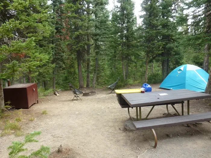 Lewis Lake site #73