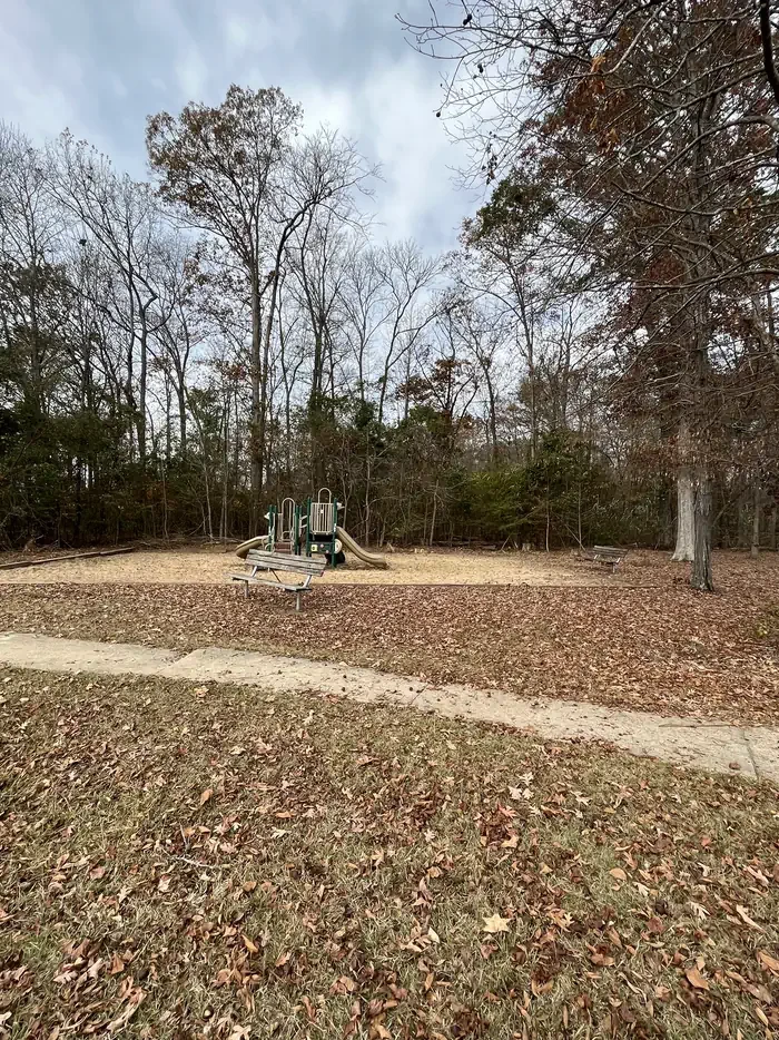 Blue Bluff Picnic Area- Beach Shelter