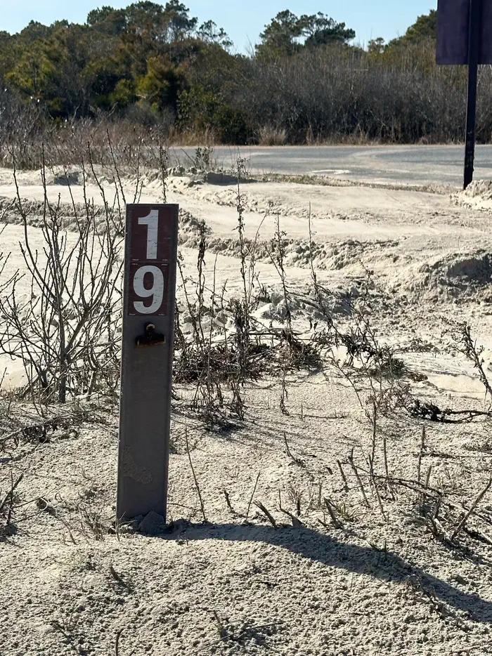 019