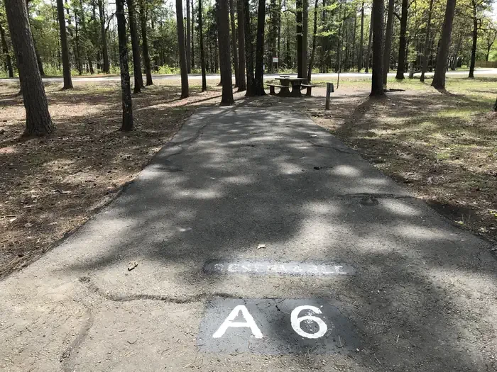 A06