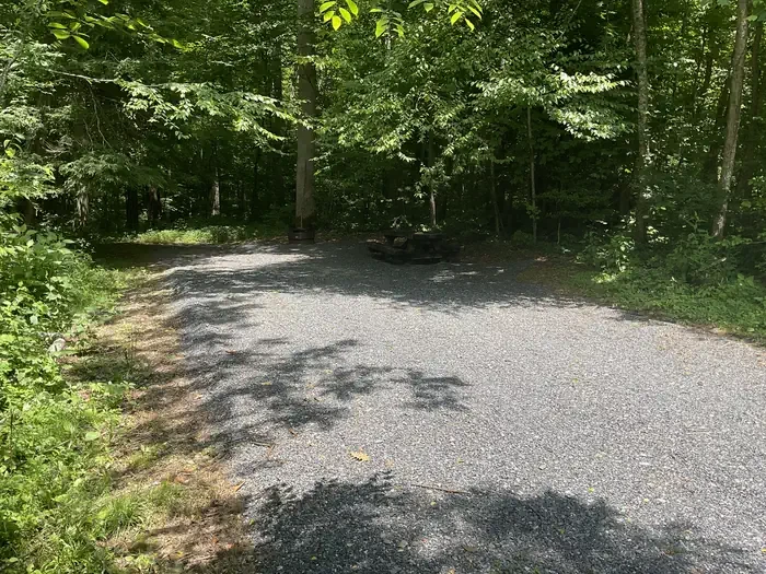 T18