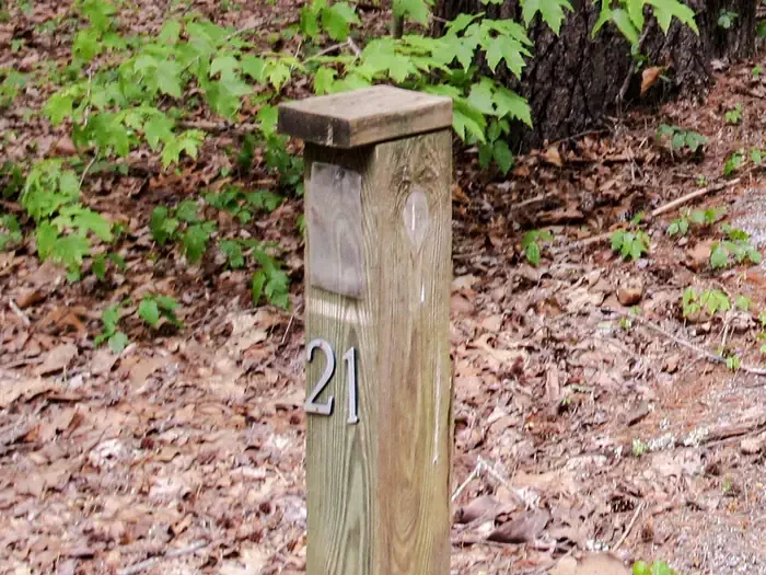 21