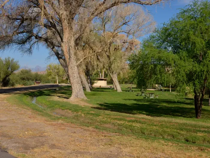 Rio Grande Village Group Campground (Big Bend, TX)