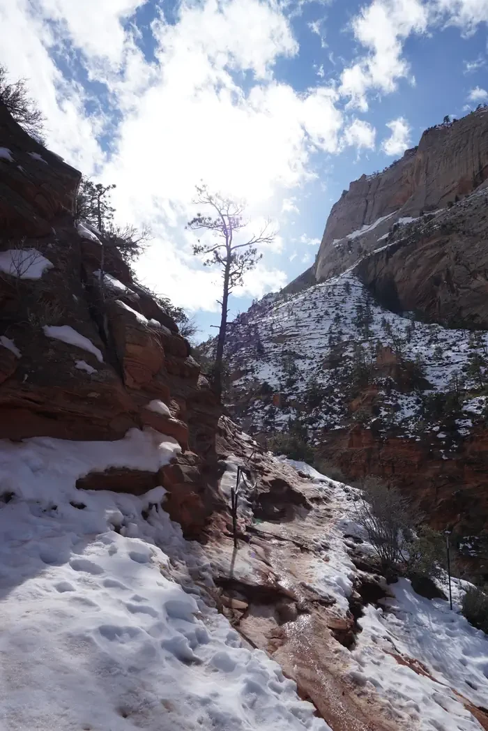 Angels Landing: Winter (Hikes on December 1 - February 28)