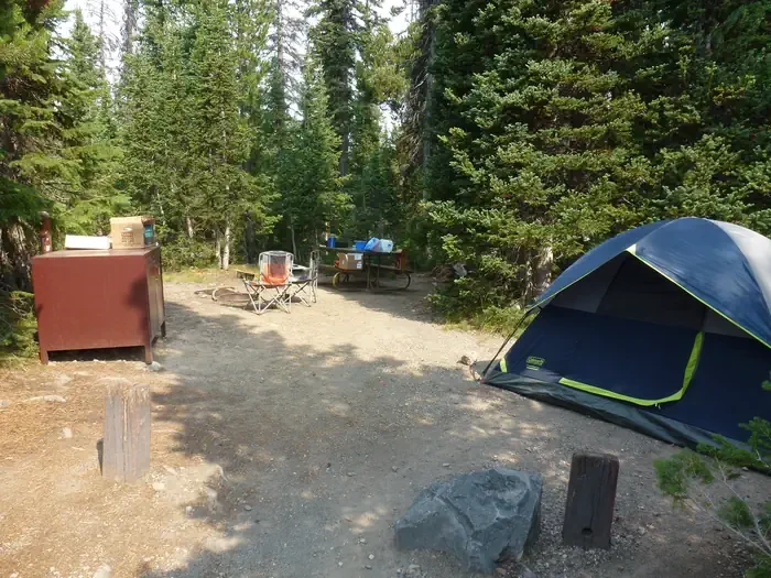 Lewis Lake site #75