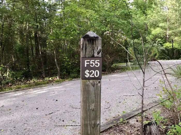 55