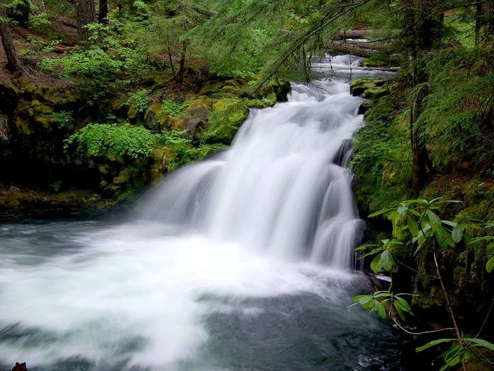 Whitehorse Falls Campground