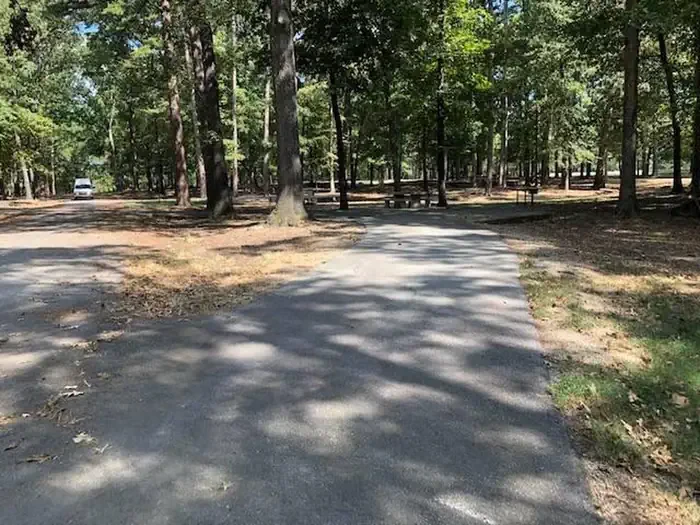 A13