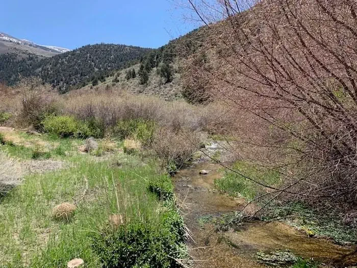 Bird Creek Campground